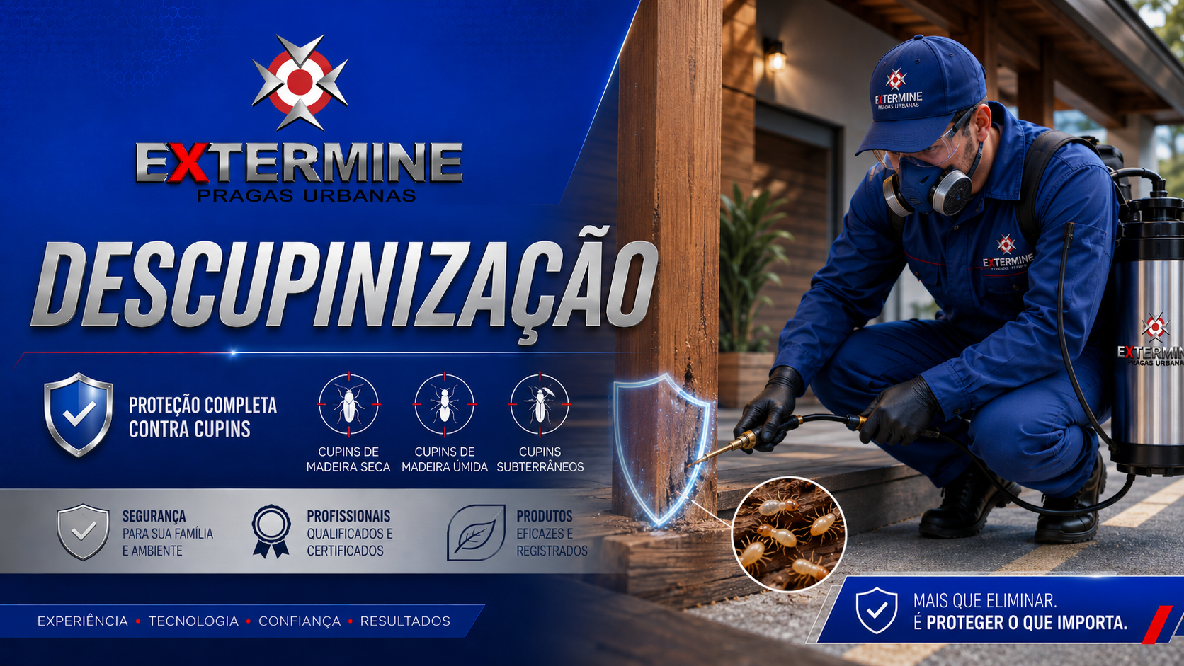 Imagem profissional de descupinização da Extermine